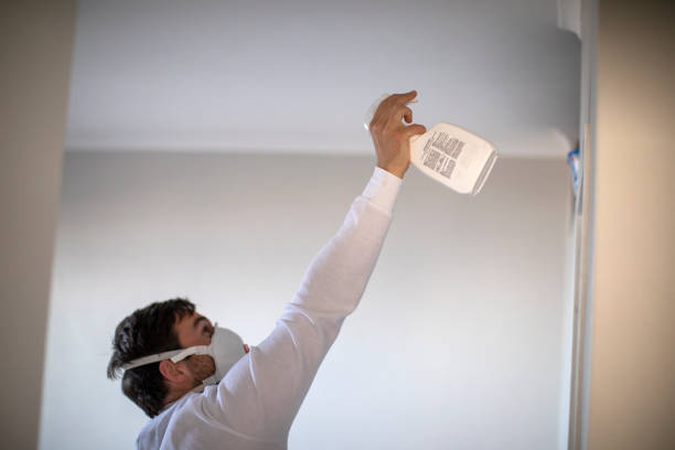 Reliable Bensenville, IL Mold Remediation Solutions