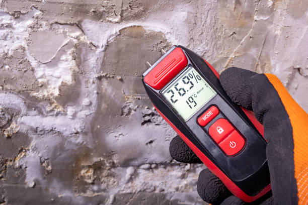 Best Preventive Mold Services in Bensenvle, IL