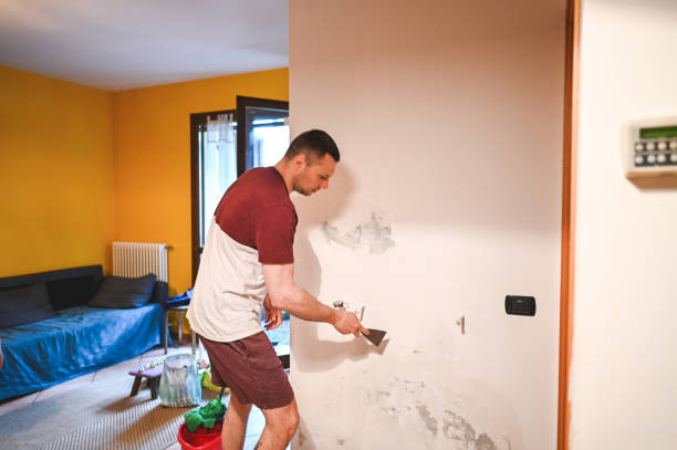 Best Residential Mold Remediation in Bensenvle, IL